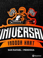 Universal Indoor Kart