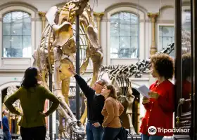 Museum fur Naturkunde (Natural History Museum)