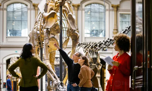 Museum fur Naturkunde (Natural History Museum)