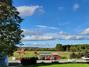 Critz Farms and Critz Farms Brewing & Cider Co.