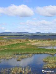 RSPB Scotland Loch Leven