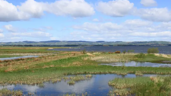 RSPB Scotland Loch Leven