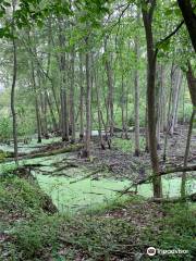 Mud Lake Bog Nature Preserve