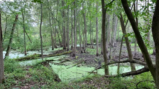 Mud Lake Bog Nature Preserve
