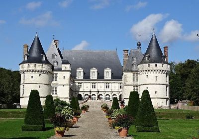 Chateau de Mesnieres