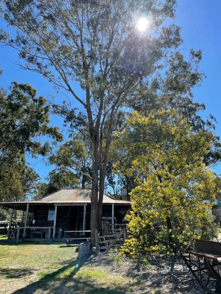 Hotels near Stanthorpe Heritage Museum
