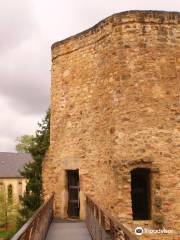 Burg Useldingen