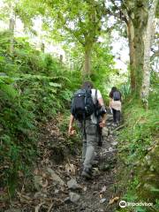 Tolima BioDiversa