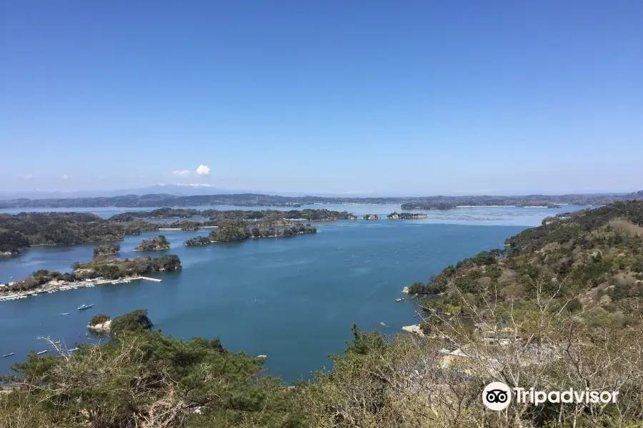 大高森