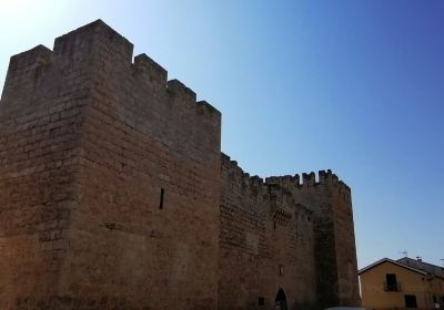 Castillo - Palacio de los Zuniga
