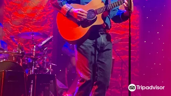 美國布蘭森 · 《Ozarks Country》演出