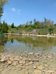 Fletcher Creek Ecological Preserve