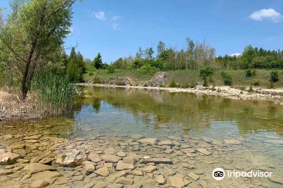 Fletcher Creek Ecological Preserve