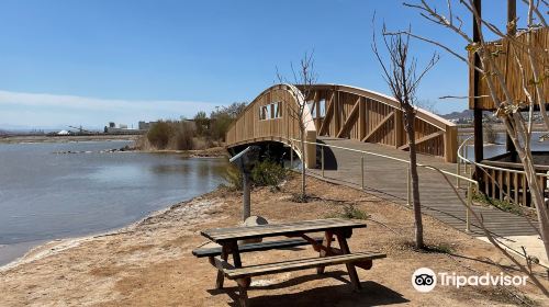 The International Birding & Research Centre