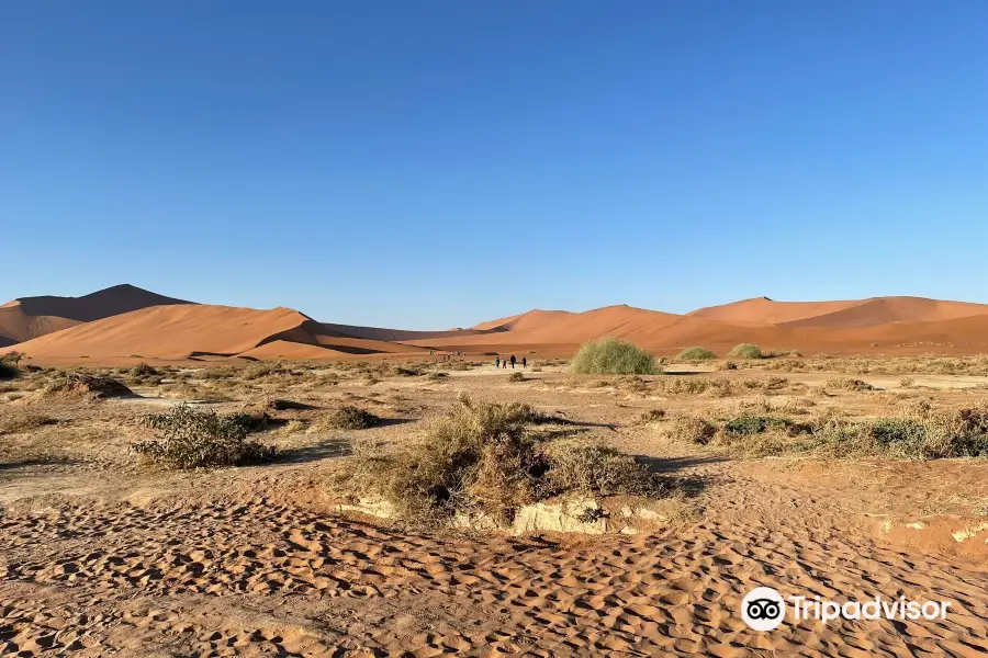 Deadvlei