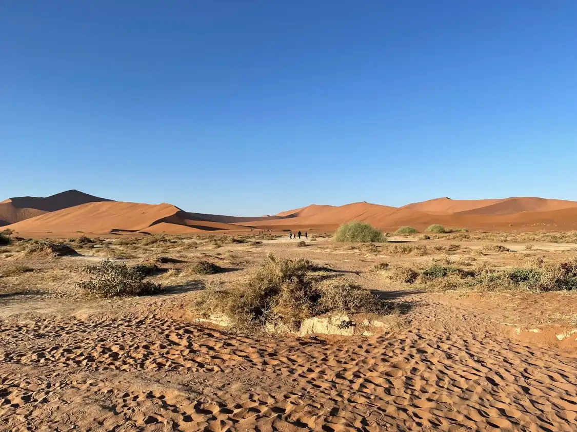 Hotels near Deadvlei