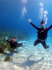 Yakushima Diving Guide Marine Club Kaiolohia