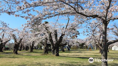 Aobagaoka Park