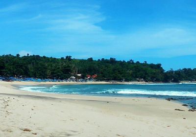 Garut