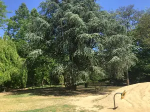 Parco R.Bucci