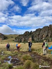 Aberdare National Park