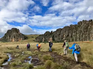 Aberdare National Park