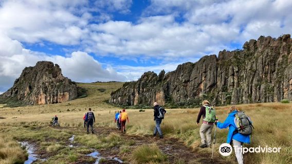 Aberdare National Park