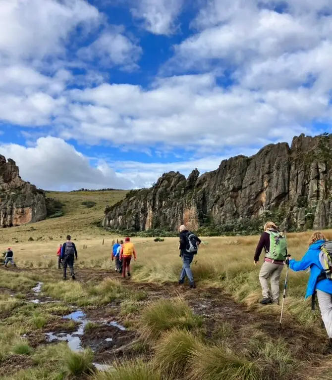 Nyeri