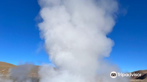 Geyser del Tatio