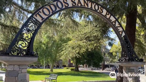 Todos Santos Plaza