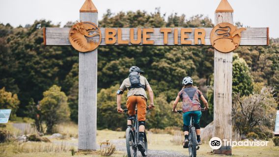 Blue Derby Mountain Bike Trails