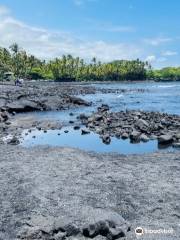 Punalu'u Black Sand beach