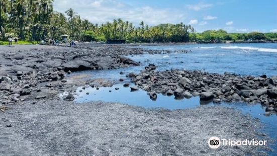 Punalu'u Black Sand beach