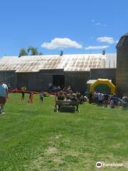 The Donkey Sanctuary of Canada