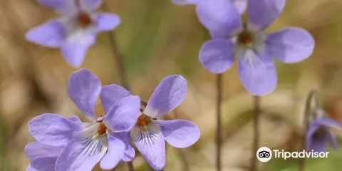 多摩森林科學園