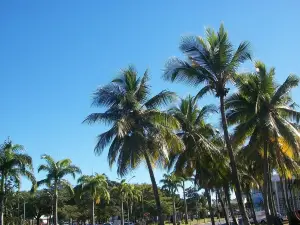 Musee de Nouvelle Caledonie