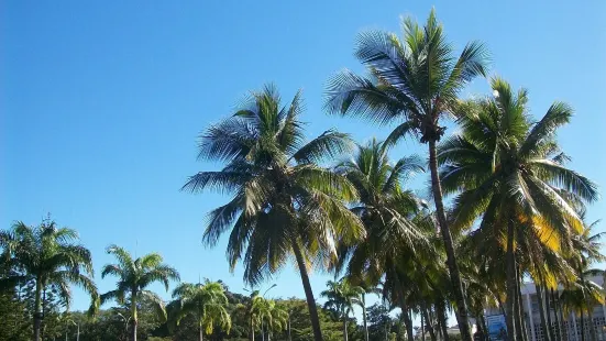 Musee de Nouvelle Caledonie