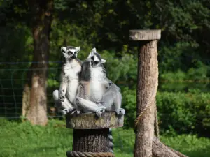 ZOO in Spišská Nová Ves