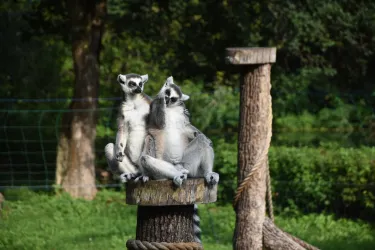 ZOO in Spišská Nová Ves