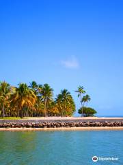 Curry Hammock State Park