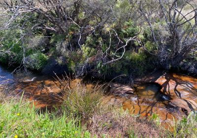 Kedumba River