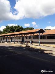 Professor Miguel Pereira Station