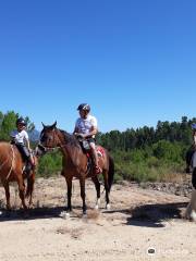 Horseback riding Portugal Adventures