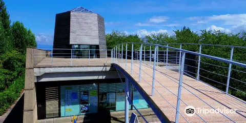 中谷宇吉郎 雪の科學館