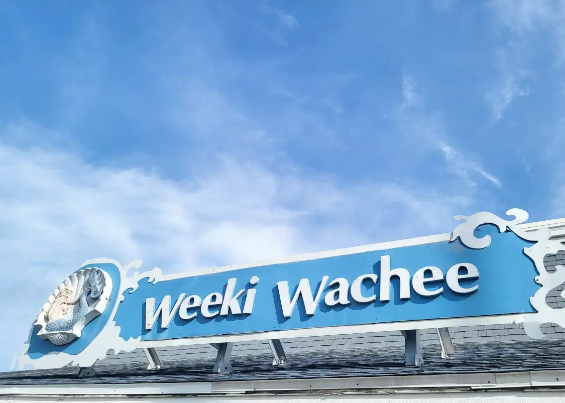 Hotels near Weeki Wachee Springs State Park