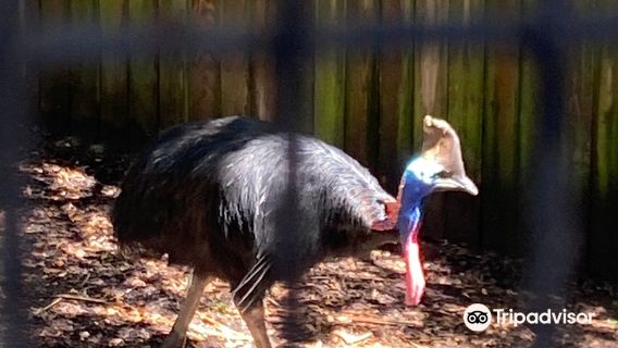 St. Augustine Alligator Farm Zoological Park