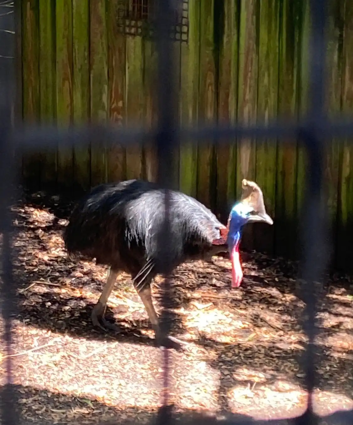 Hotels near St. Augustine Alligator Farm Zoological Park
