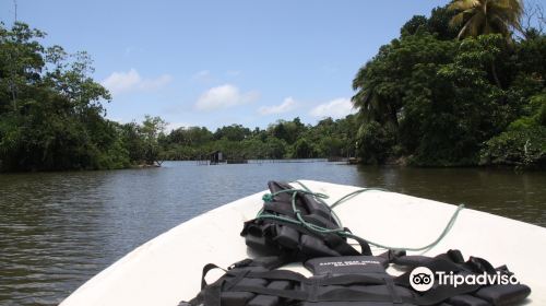 Madu Ganga Biodiversity Area