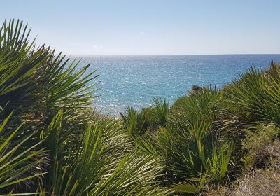 Playa de Calblanque