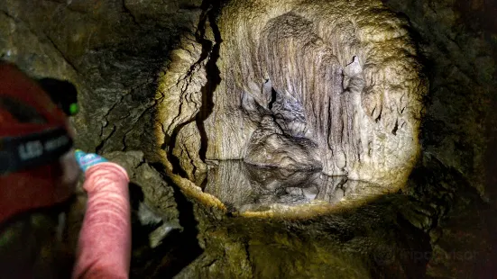 Horne Lake Caves Provincial Park